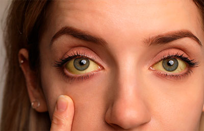 Xojayinning mushukini yalayotgan porno tomosha qiling