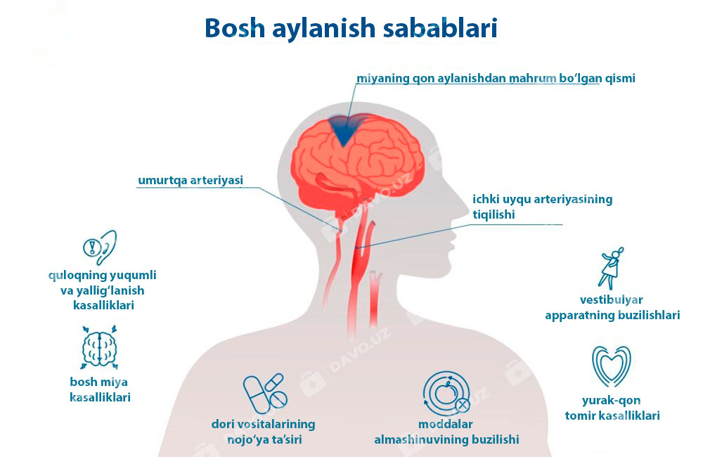 Bosh-aylanishining-sabablari