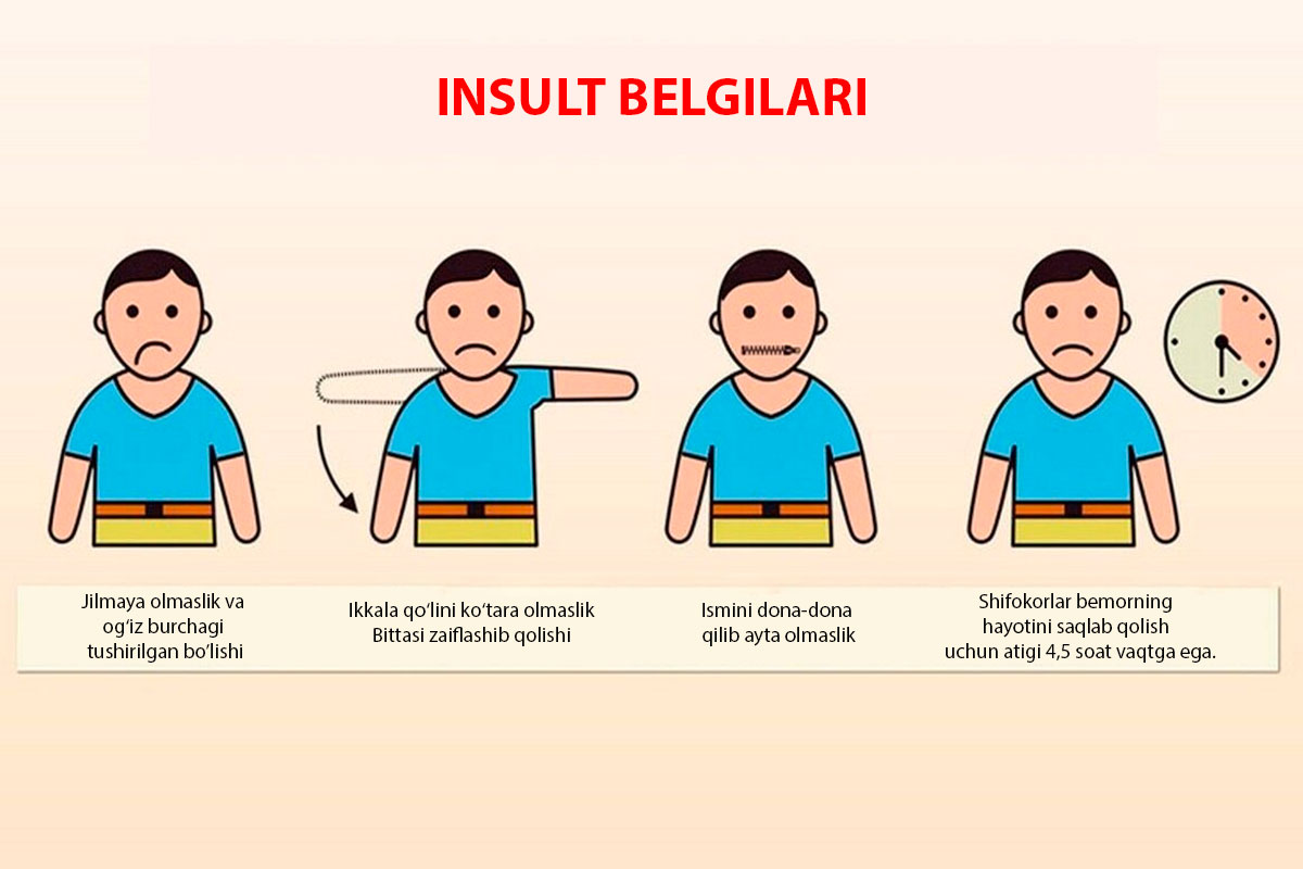 INSULT-BELGILARI